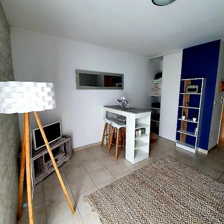 Studio Presqu'Ile Fouras Proche De La Plage Parking Prive エクステリア 写真